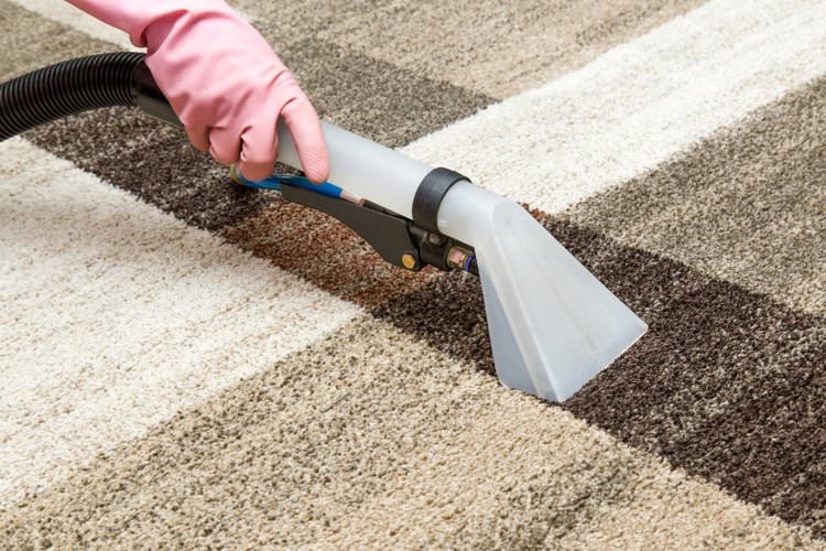 Easy Tips for Keeping Your Home Carpet Fresh and Clean All the Time