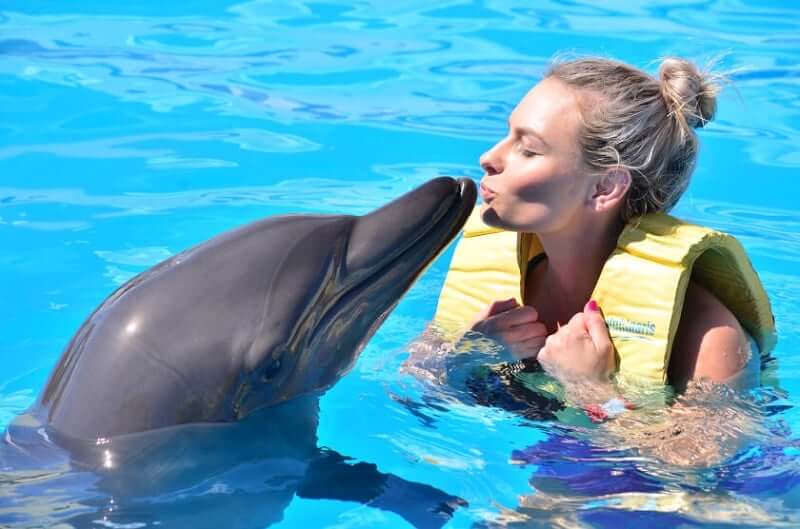 Swim with dolphins in Cancun: The best idea for summer vacations