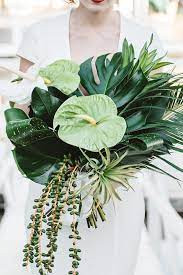 Tropical Leaves and Flowers