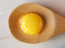 yolk from an egg