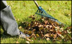 Health Benefits of Mowing the Lawn
